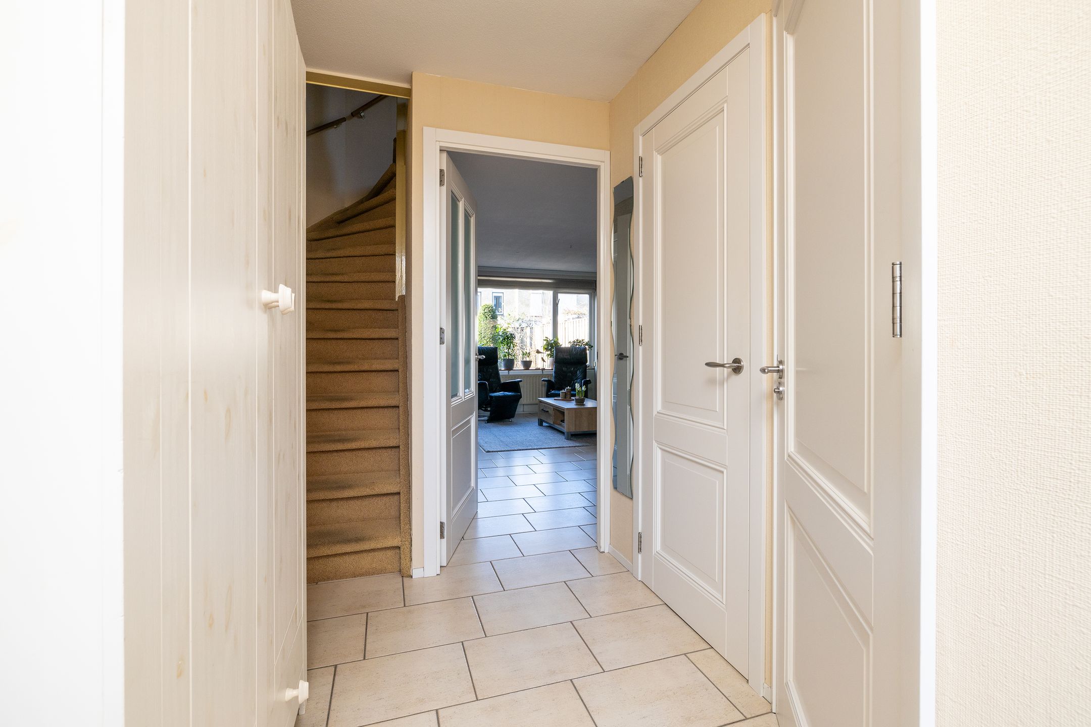 Foto 15 van Korenbloem 22