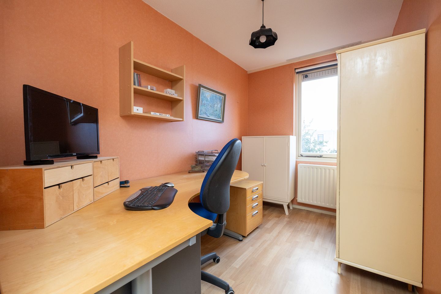 Foto 19 van Korenbloem 22