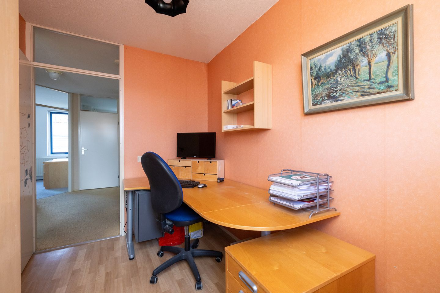 Foto 20 van Korenbloem 22