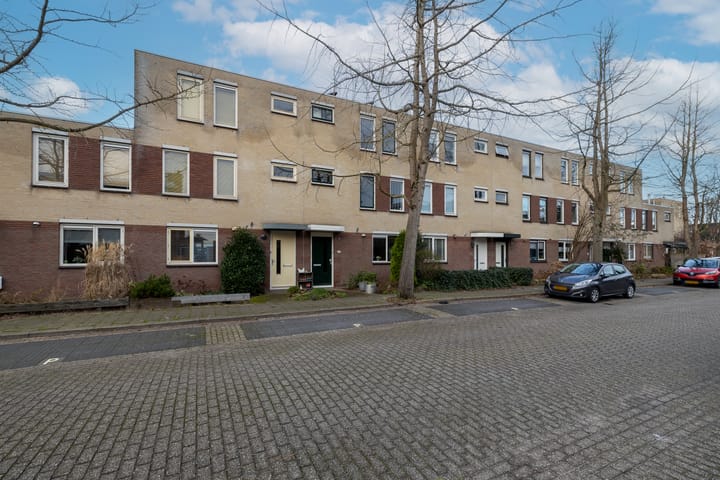 Foto 30 van Korenbloem 22