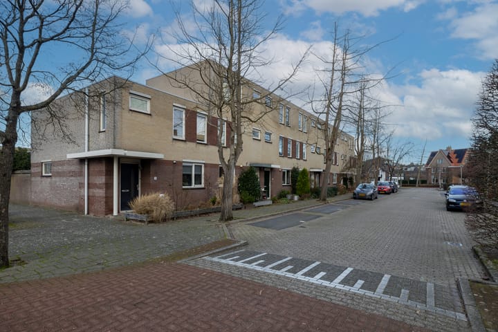 Foto 1 van Korenbloem 22