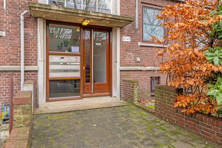 Foto 8 van Daniël Catterwijckstr 45