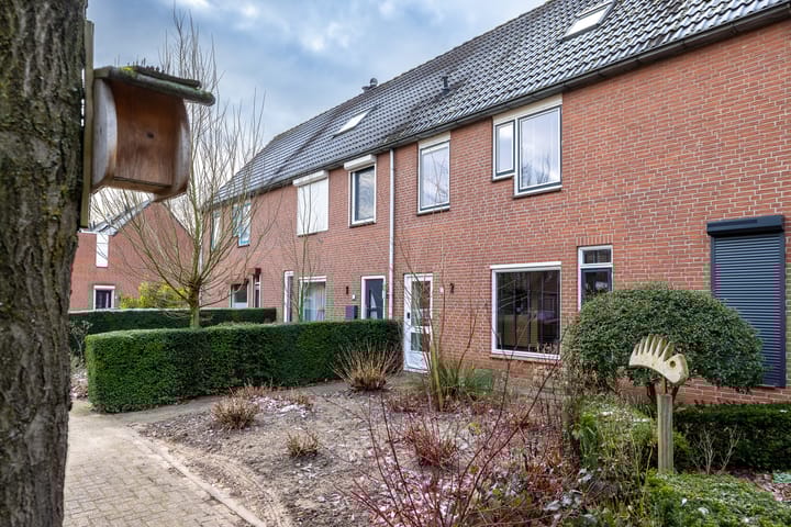 Foto 21 van Boesmate 5