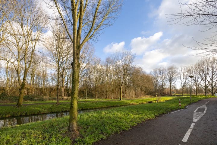 Foto 34 van Paddestoelweg 156