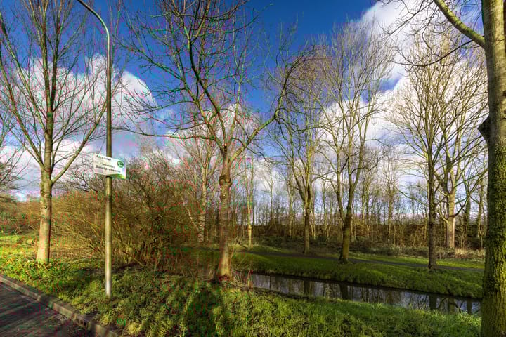 Foto 35 van Paddestoelweg 156