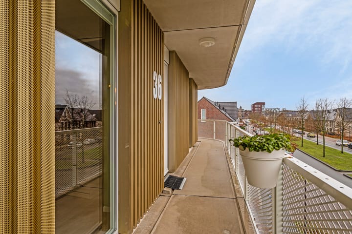 Foto 10 van Strandgaper 36