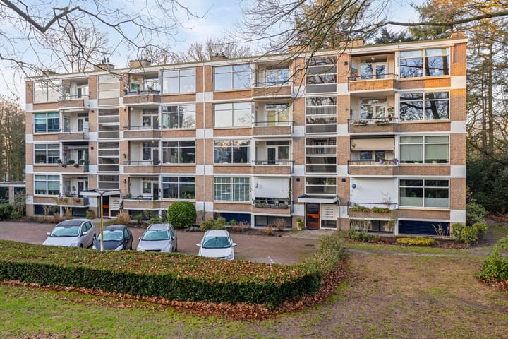 Foto 4 van Park de Kotten 120