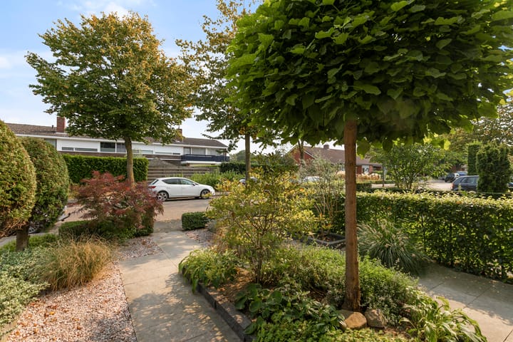 Foto 25 van Jupiter 37