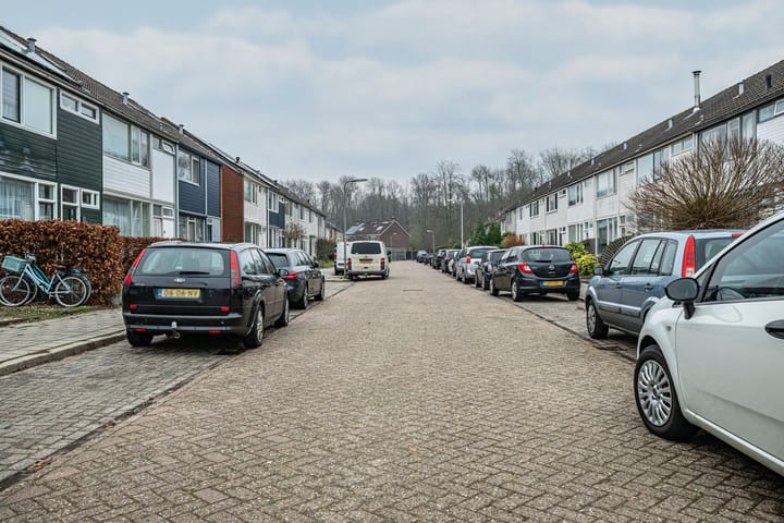 Foto 36 van Bosrand 29