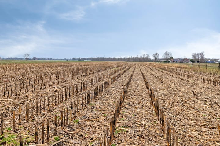 Foto 46 van Dedemsvaartseweg-Noord 182