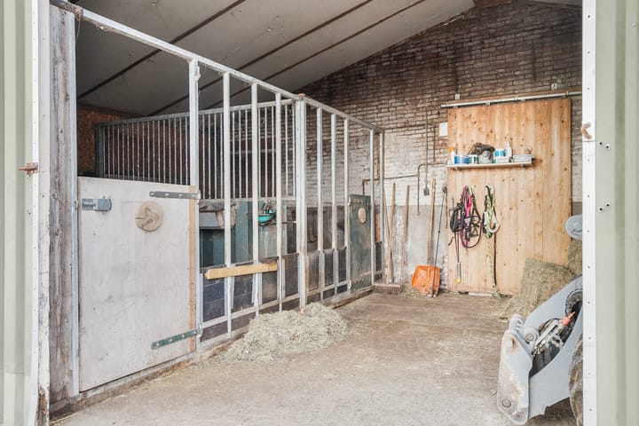 Foto 27 van Reijerscop 10