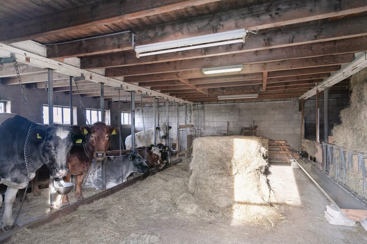 Foto 28 van Reijerscop 10