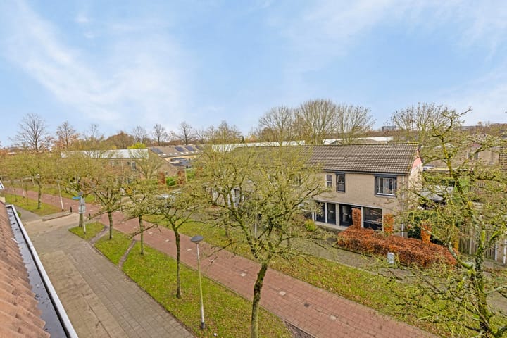 Foto 2 van Schoonhout 157