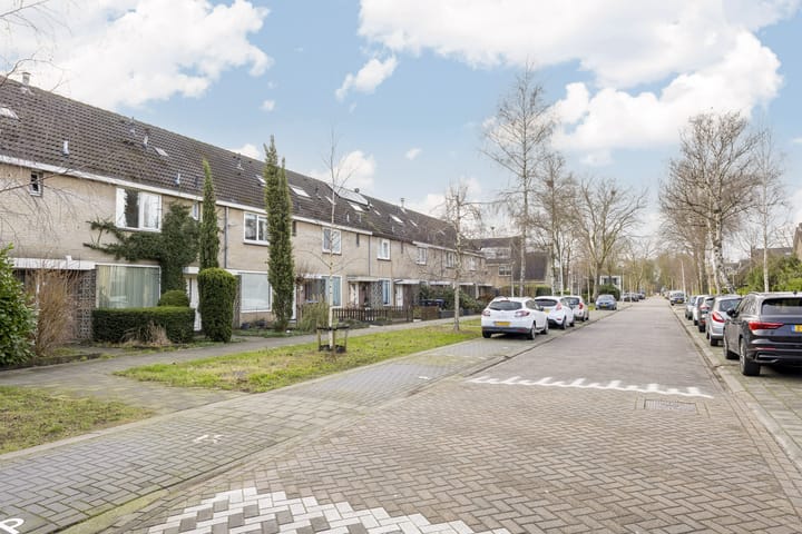 Foto 31 van Boeierlaan 28