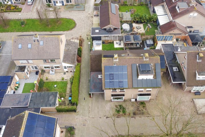 Foto 35 van Blauwbloei 18