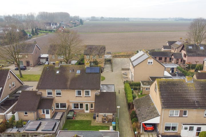 Foto 38 van Blauwbloei 18