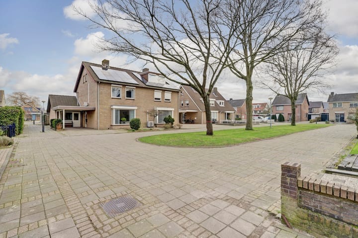 Foto 41 van Blauwbloei 18