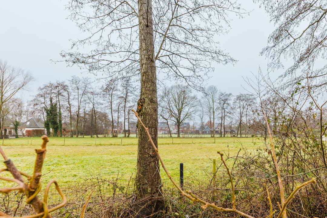 Foto 16 van Bûkenhage 14