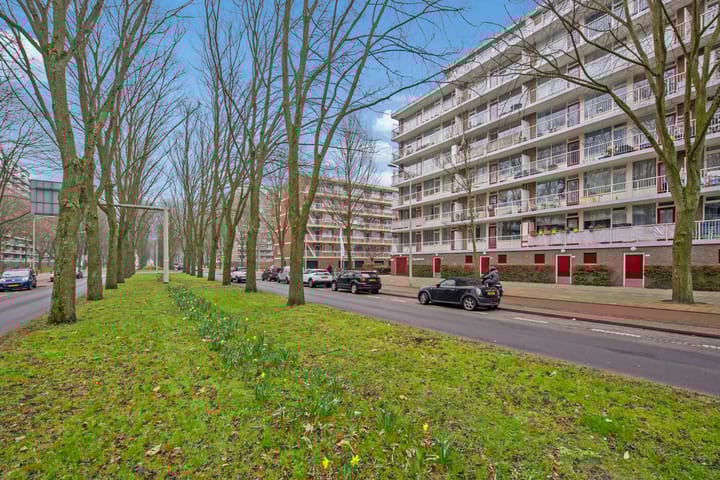 Foto 32 van Volendamlaan 942