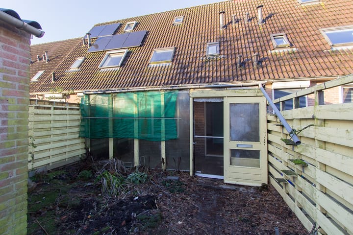 Foto 2 van Koekoek 36