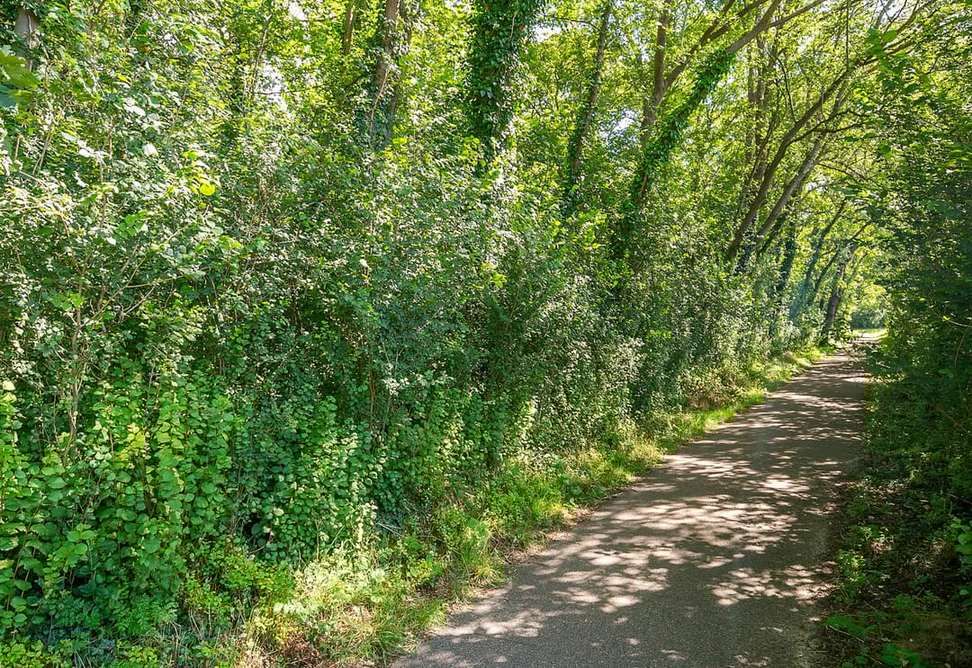 Foto 37 van Strengweg 11