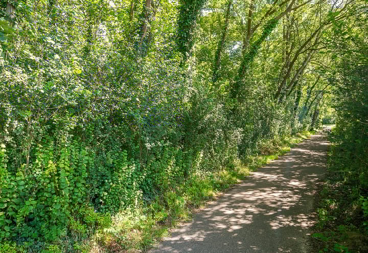 Foto 37 van Strengweg 11