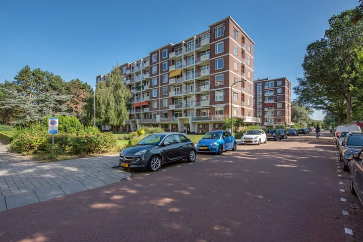 Foto 6 van Ranonkelstraat 195