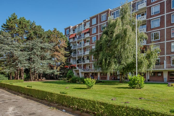 Foto 7 van Ranonkelstraat 195