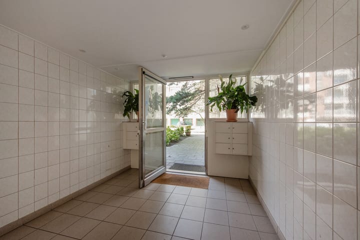 Foto 8 van Ranonkelstraat 195