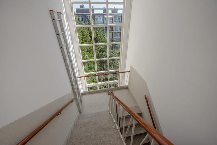 Foto 9 van Ranonkelstraat 195