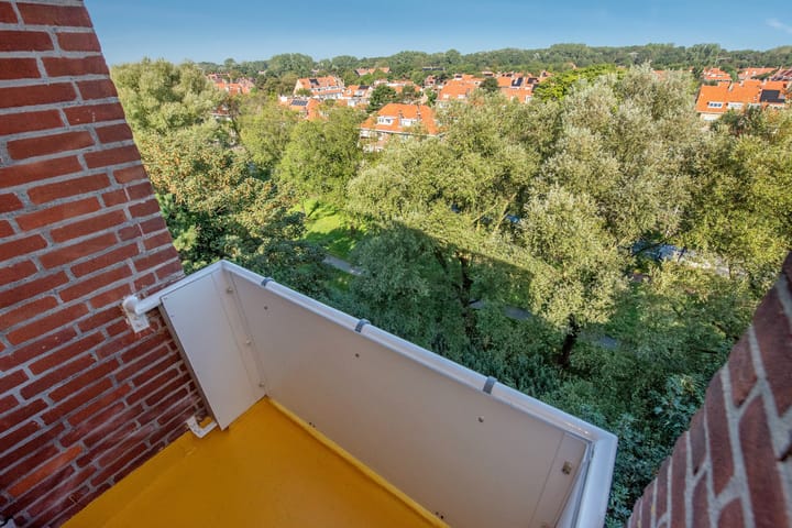 Foto 29 van Ranonkelstraat 195