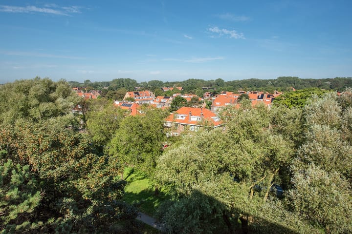 Foto 30 van Ranonkelstraat 195