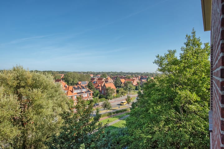 Foto 31 van Ranonkelstraat 195