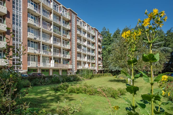 Foto 38 van Ranonkelstraat 195