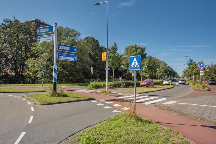 Foto 40 van Ranonkelstraat 195