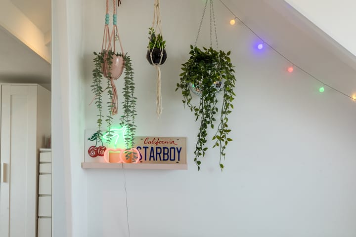 Foto 34 van Troelstralaan 17