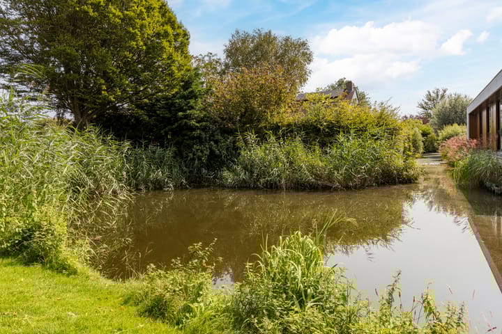 Foto 37 van Troelstralaan 17