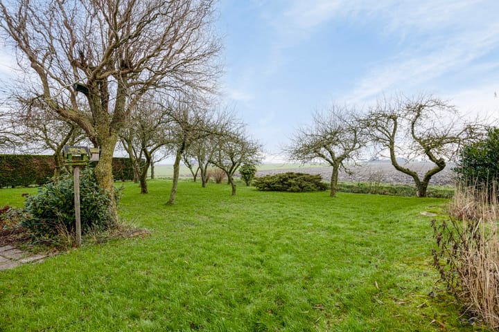 Foto 3 van Ruigendijk 27