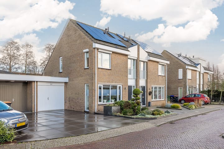 Foto 2 van Hondstong 7