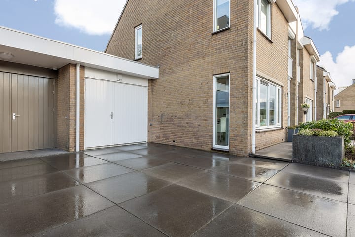 Foto 3 van Hondstong 7