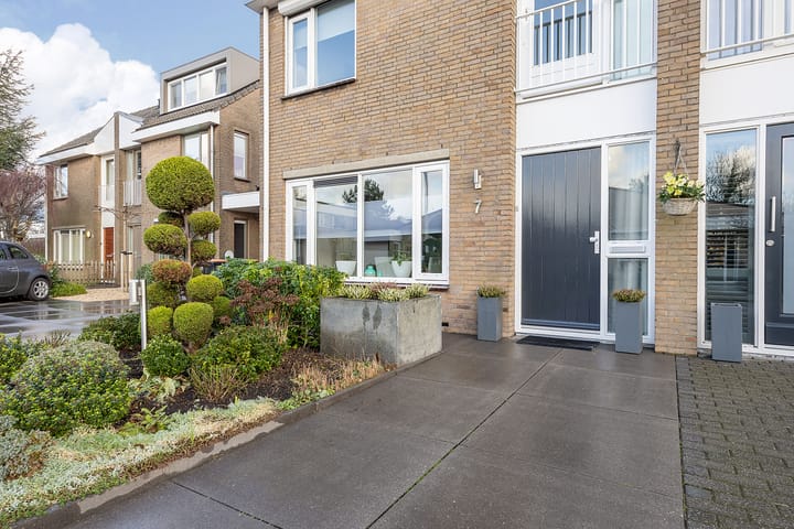 Foto 4 van Hondstong 7