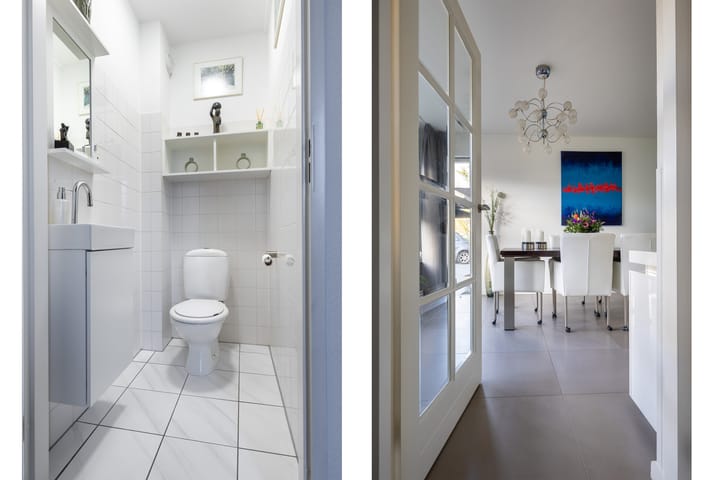 Foto 6 van Hondstong 7