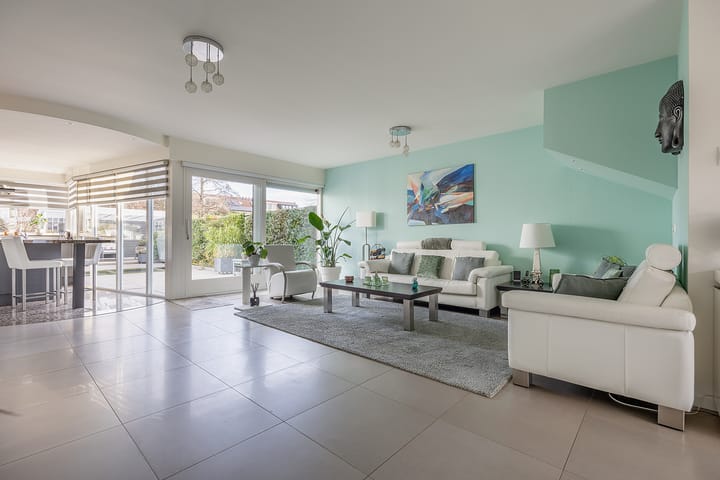 Foto 7 van Hondstong 7