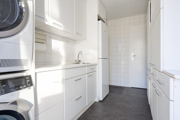 Foto 20 van Hondstong 7