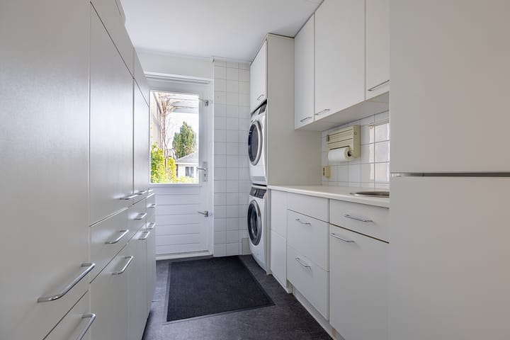 Foto 21 van Hondstong 7