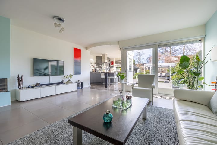 Foto 14 van Hondstong 7