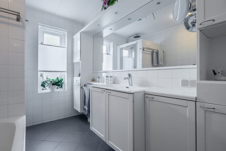 Foto 31 van Hondstong 7