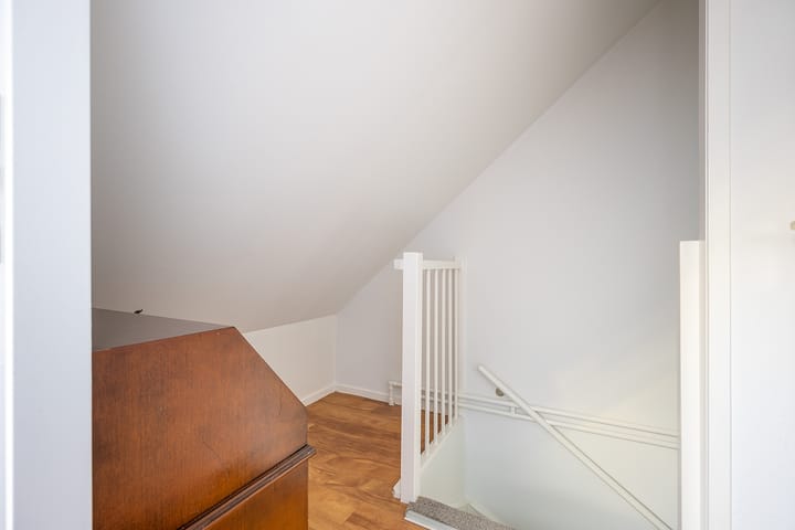 Foto 36 van Hondstong 7