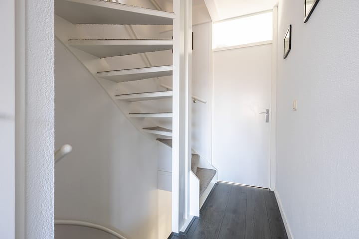 Foto 35 van Hondstong 7