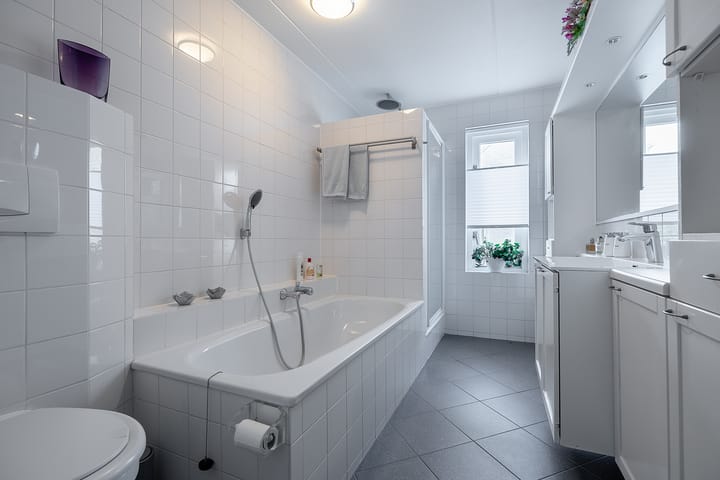 Foto 34 van Hondstong 7